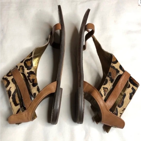 Sam Eldelman Nude Leopard Grenna Gladiator Flat Sandal Size 8 - Picture 7 of 17